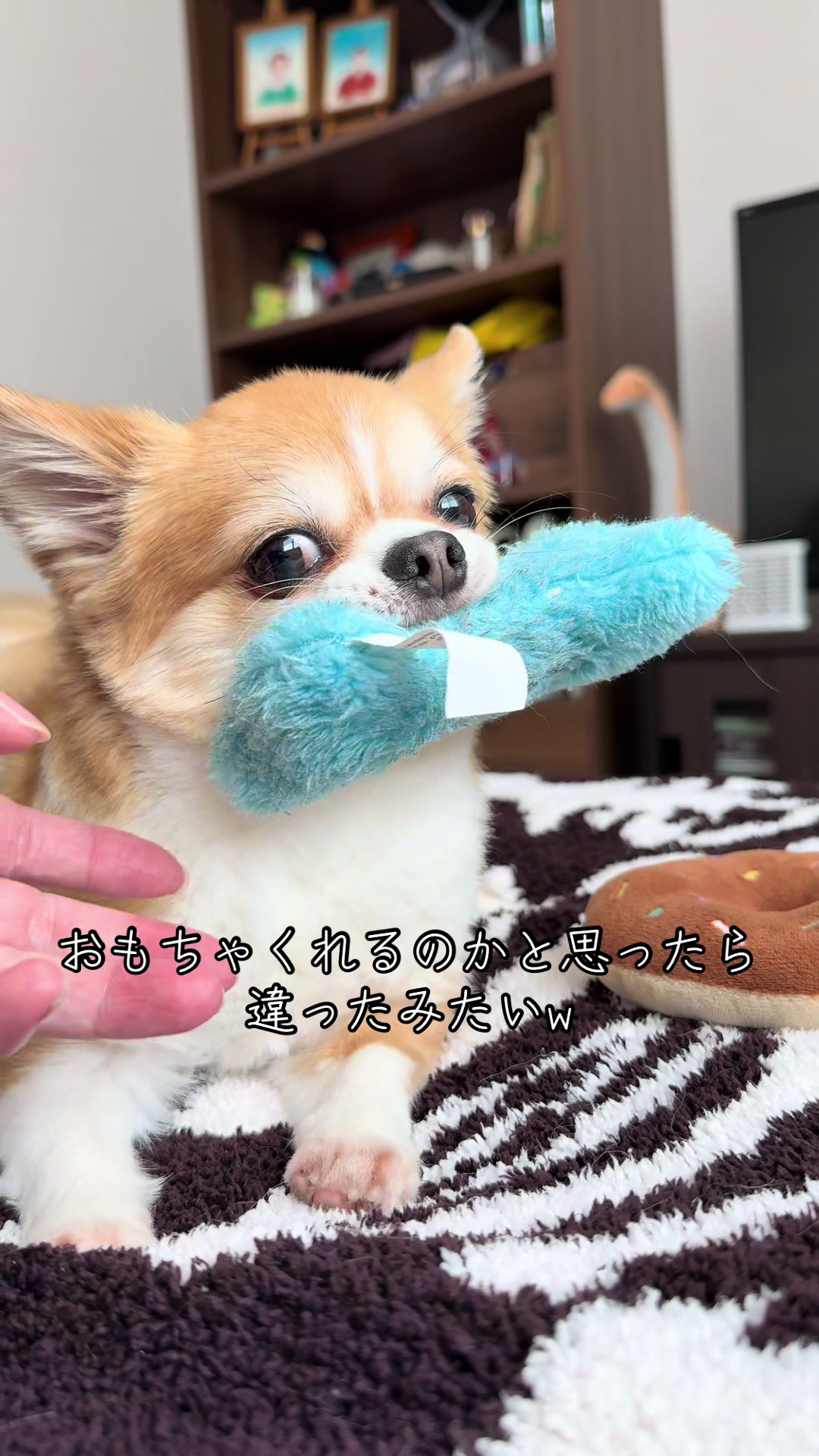 @心太