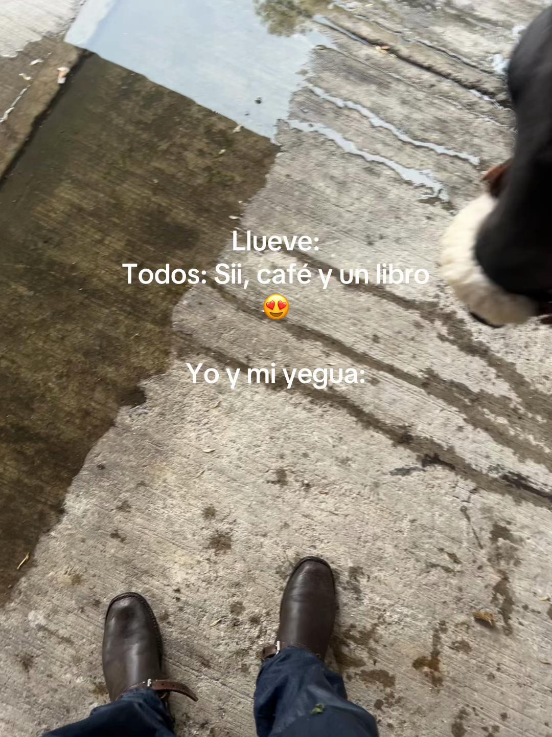 @Carlos_favela7
