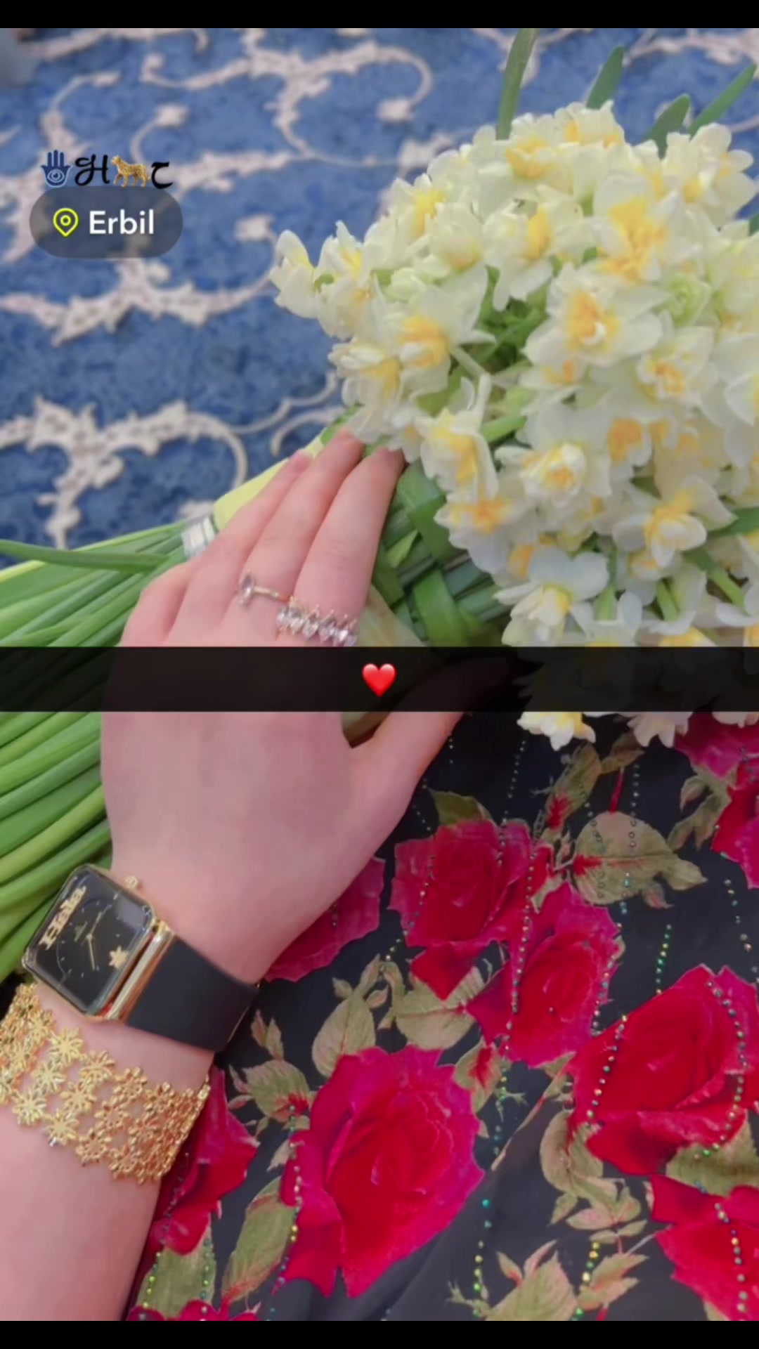 @حـلاا🐆🩶