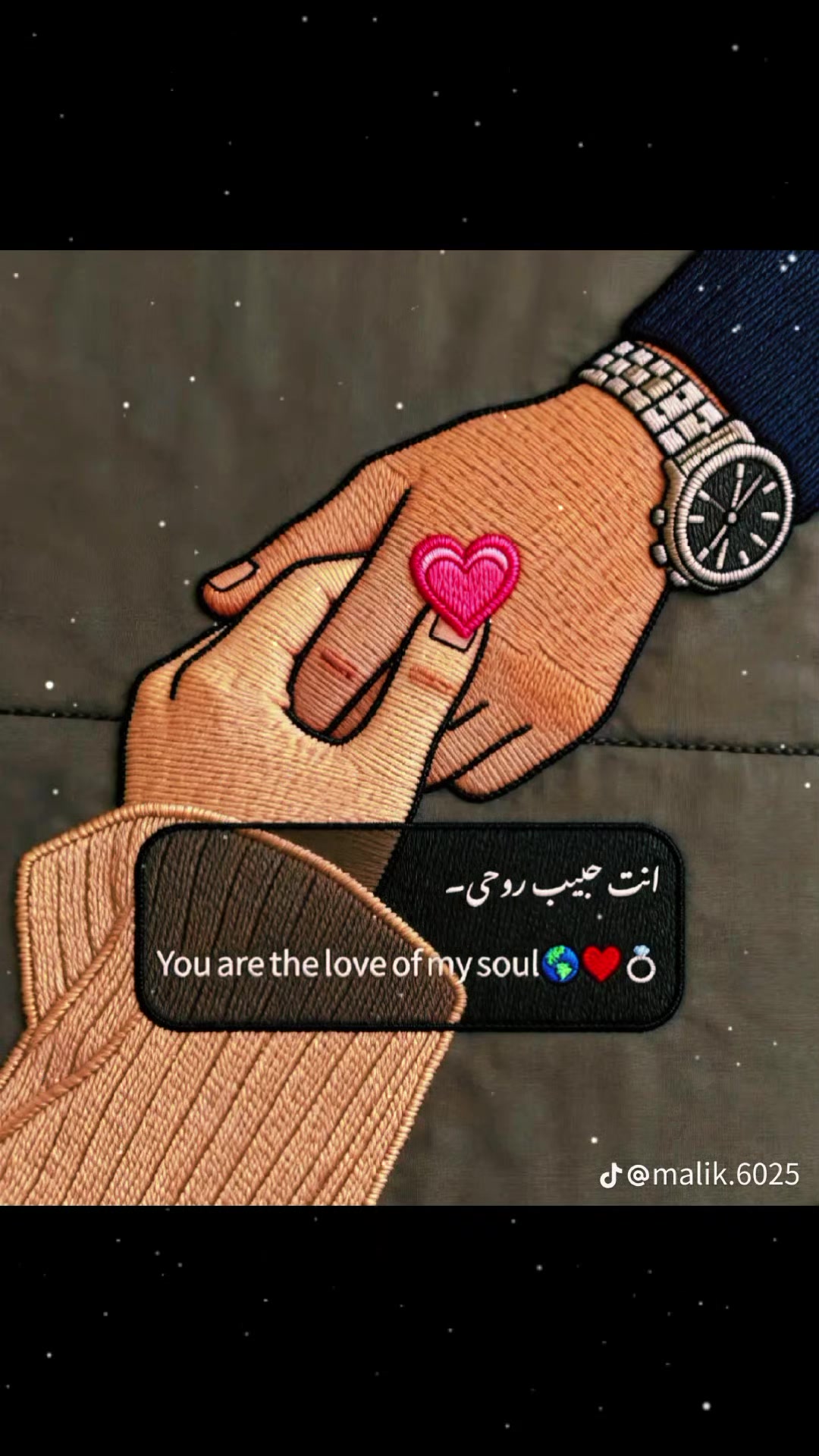 @Rana Aalyan