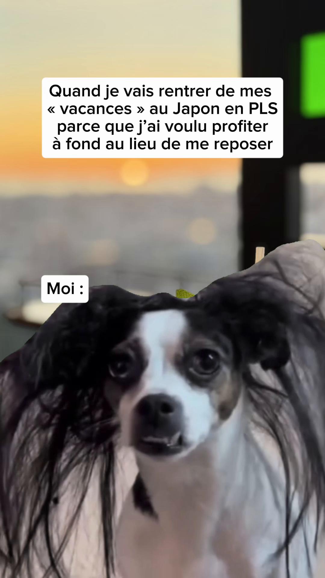 @Manon Foster