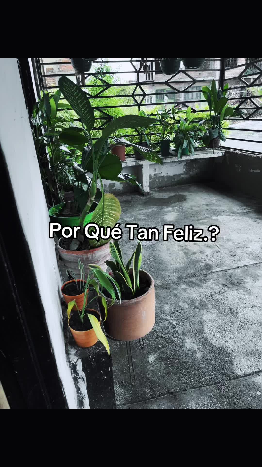 @Valentina gr 😌🙇♀️