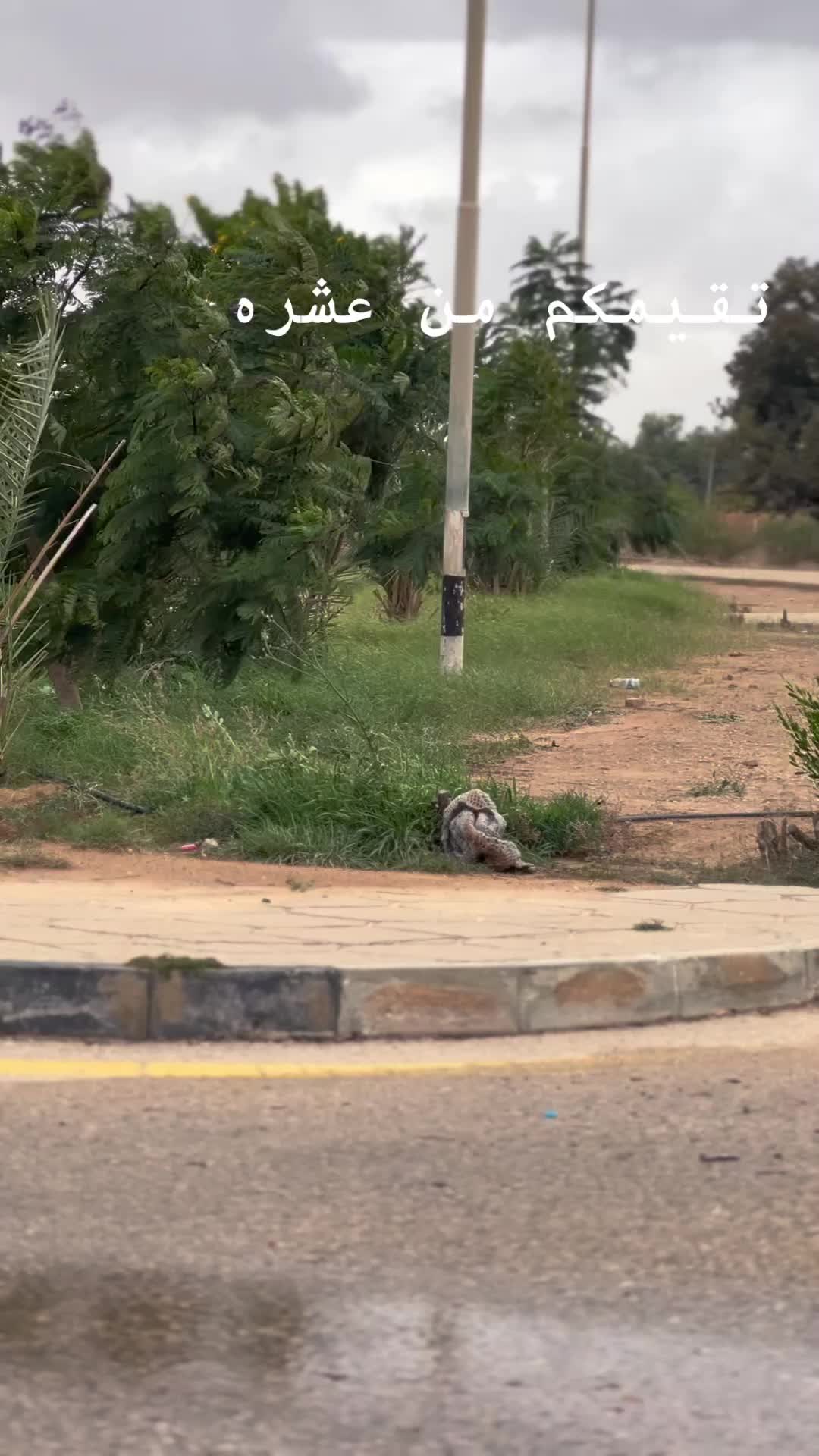 @Aziz Karkob