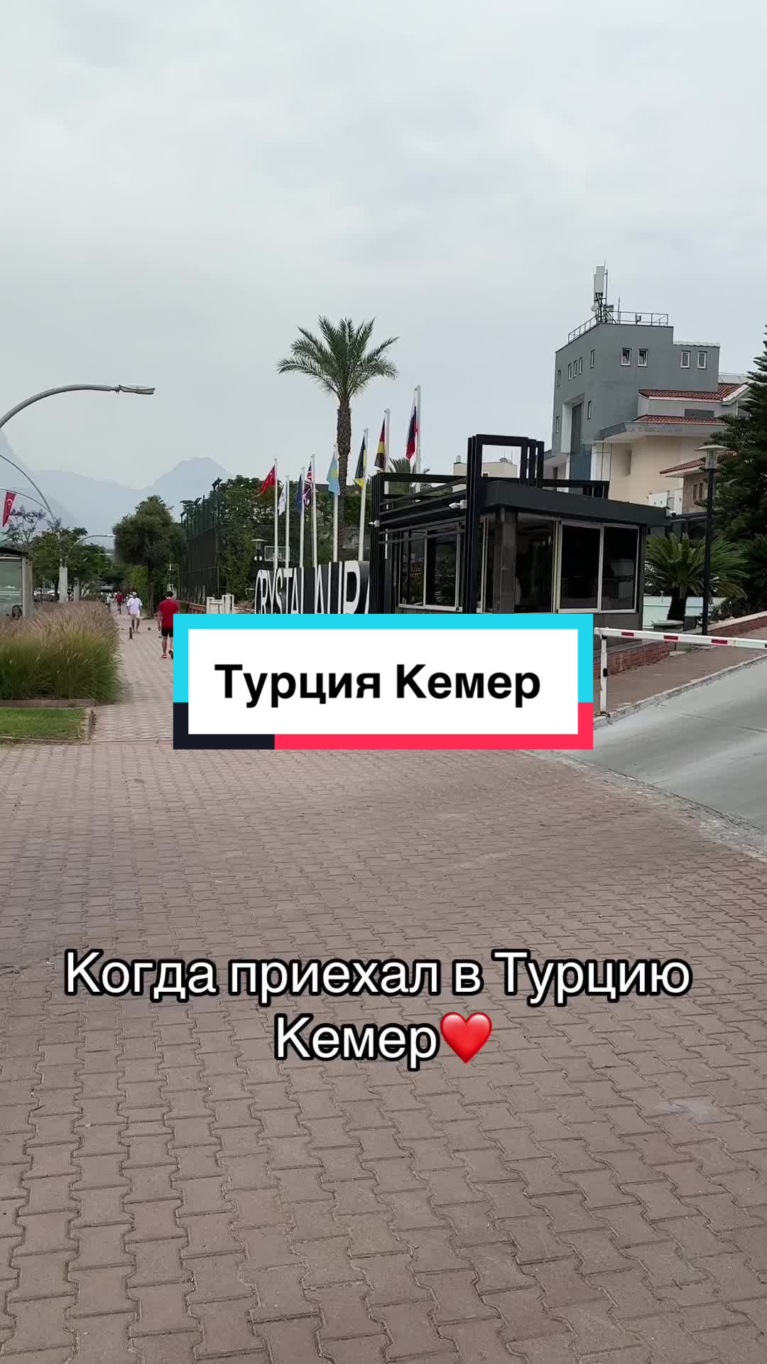 @travelpro.by