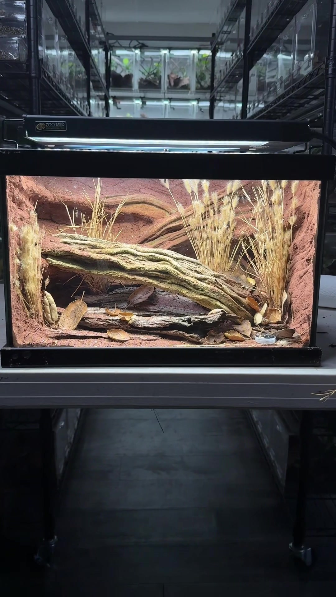 @HerpTime