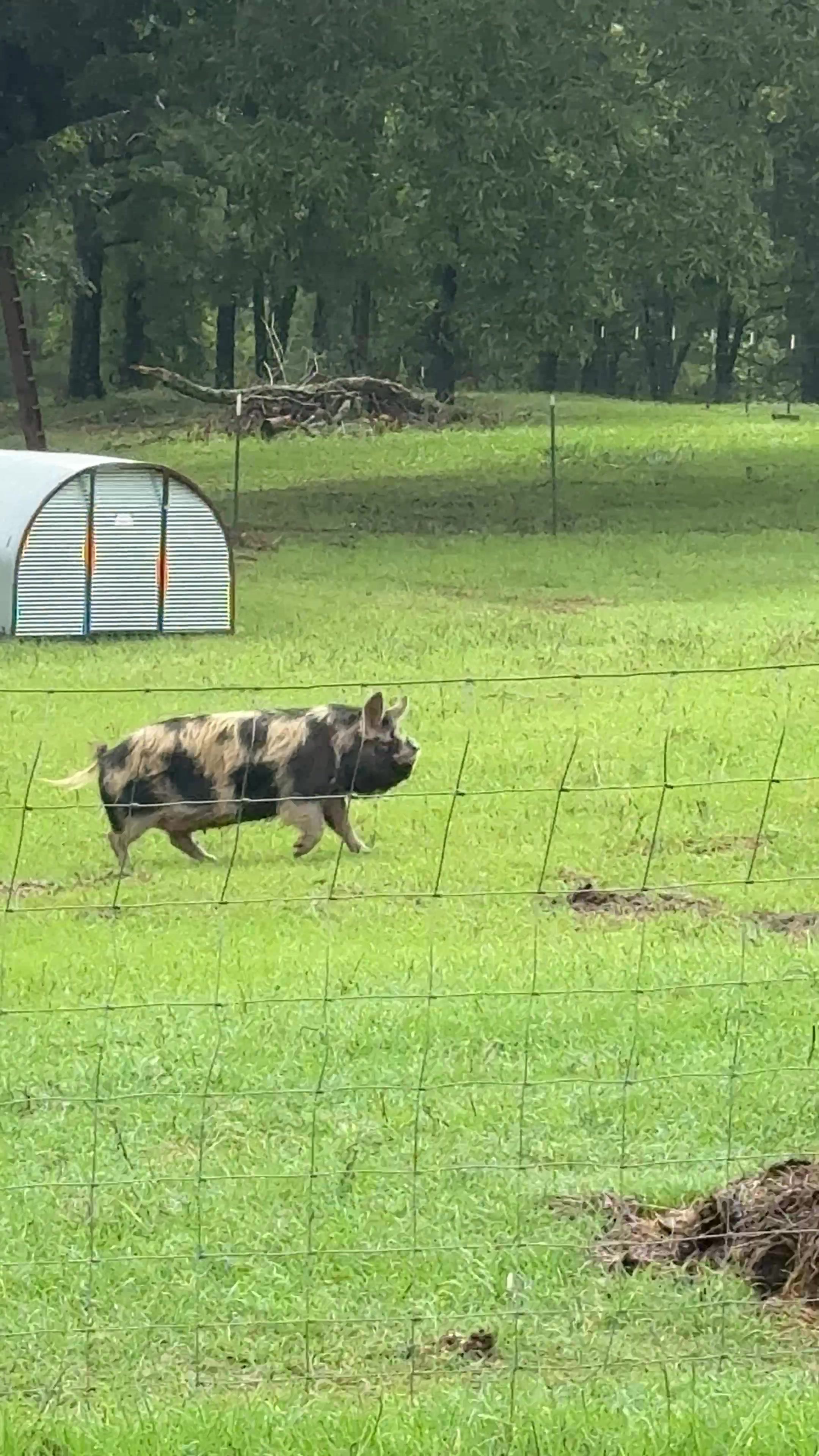 @Cog Hill Farm