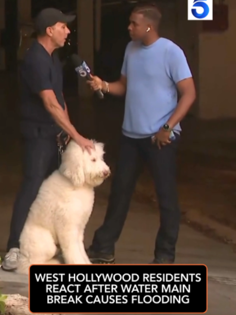 @KTLA 5 News