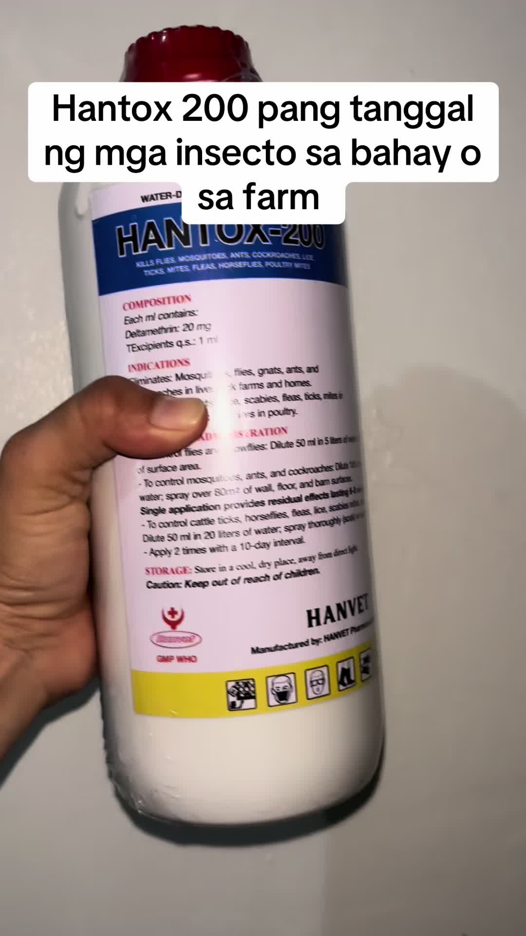 @BOSS MADAM HANNAH