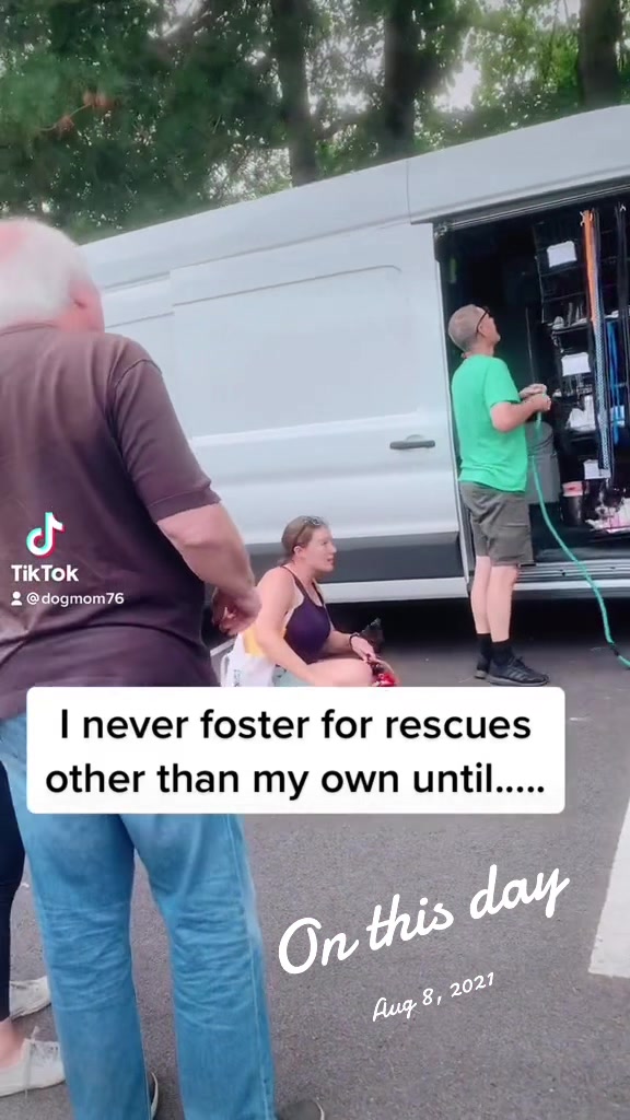 @dogmom76
