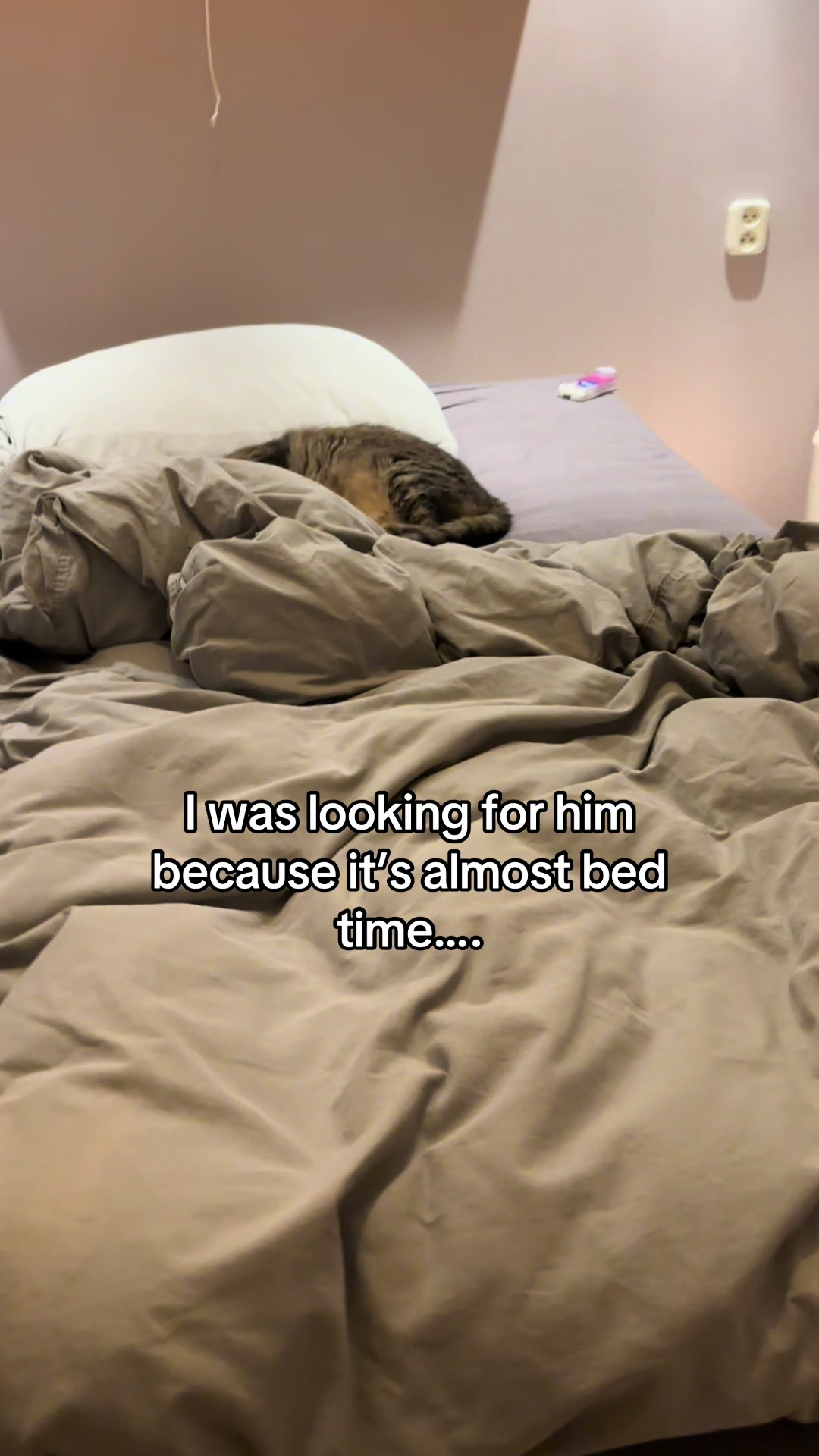 @Joep_the_ rescuecat