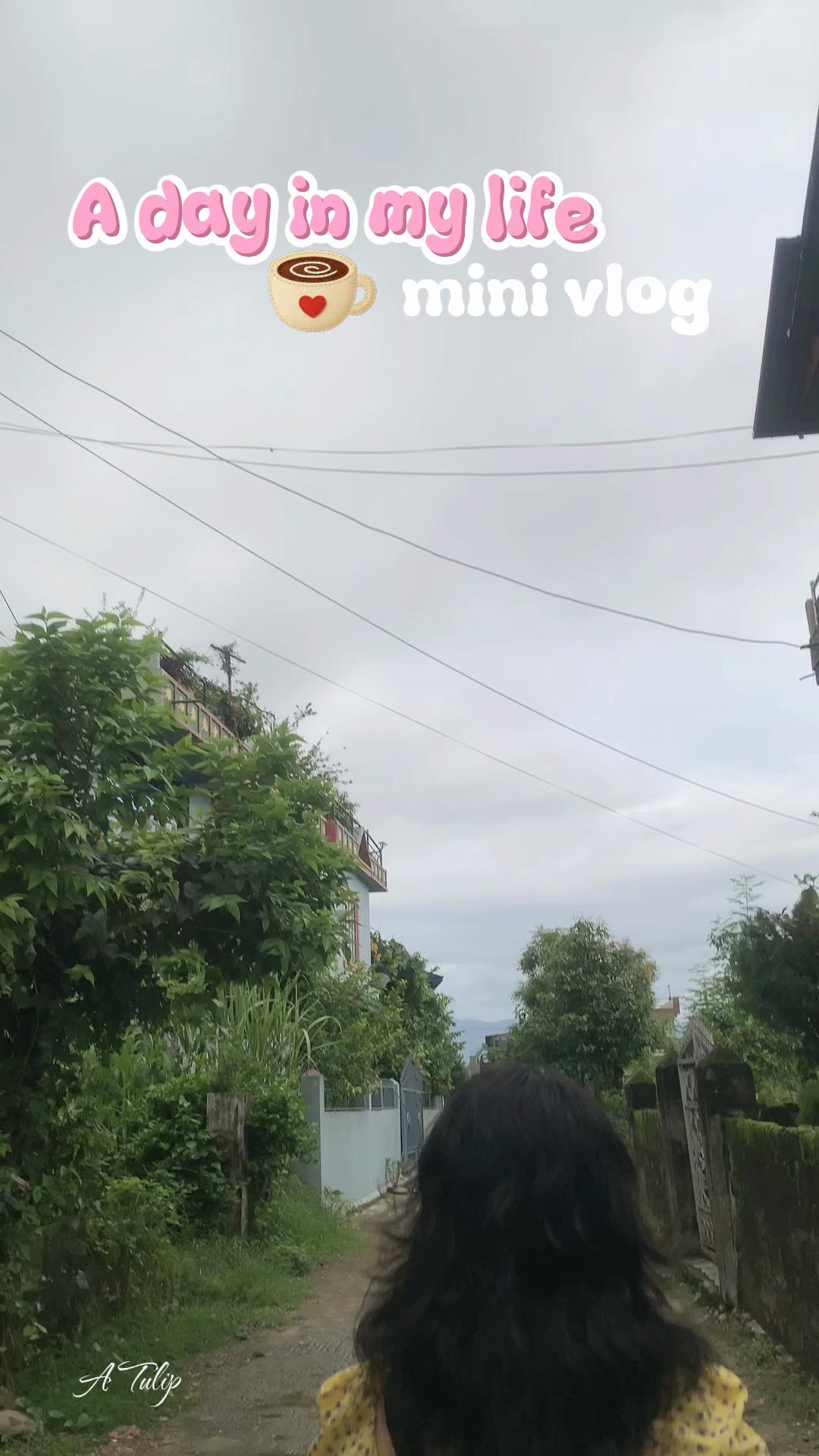 @Subu Somai Mgr