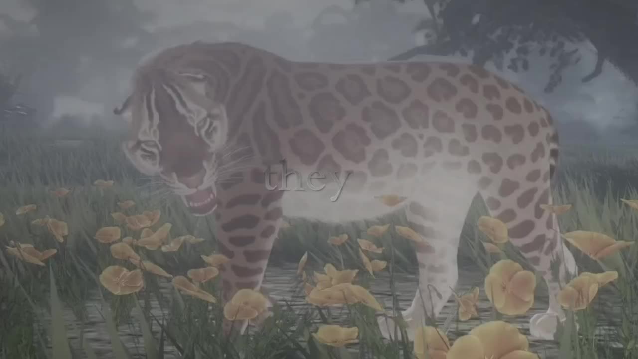 @𝚅𝚞𝚕𝚛𝚒𝚜 𝙿𝚛𝚒𝚍𝚎