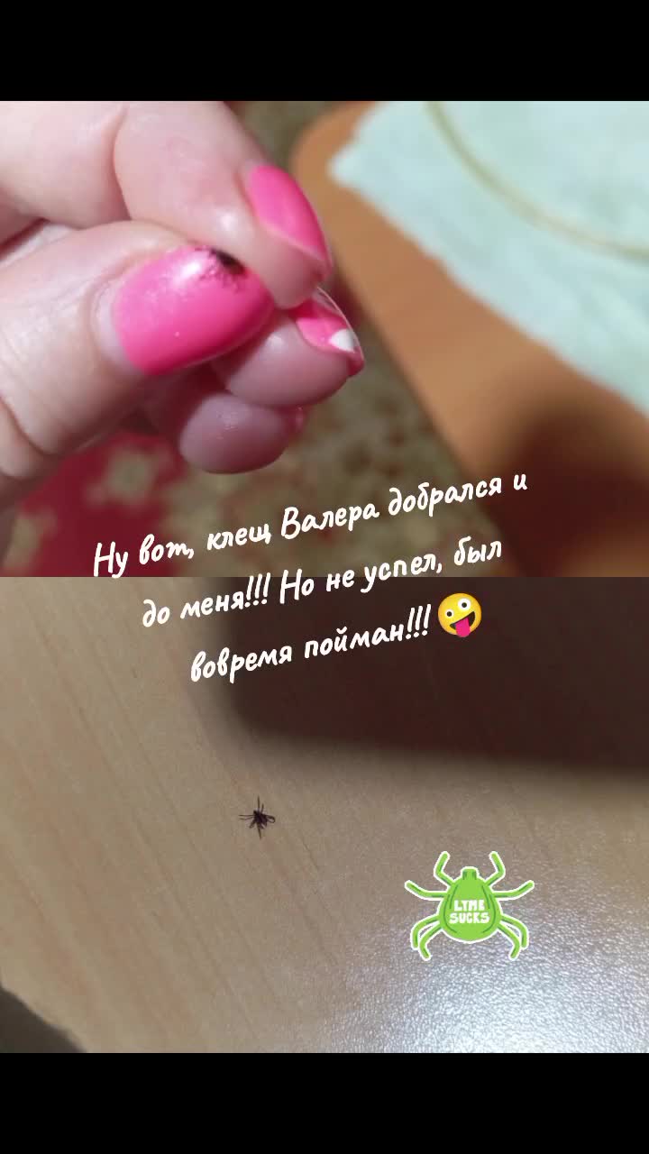 @Ольга