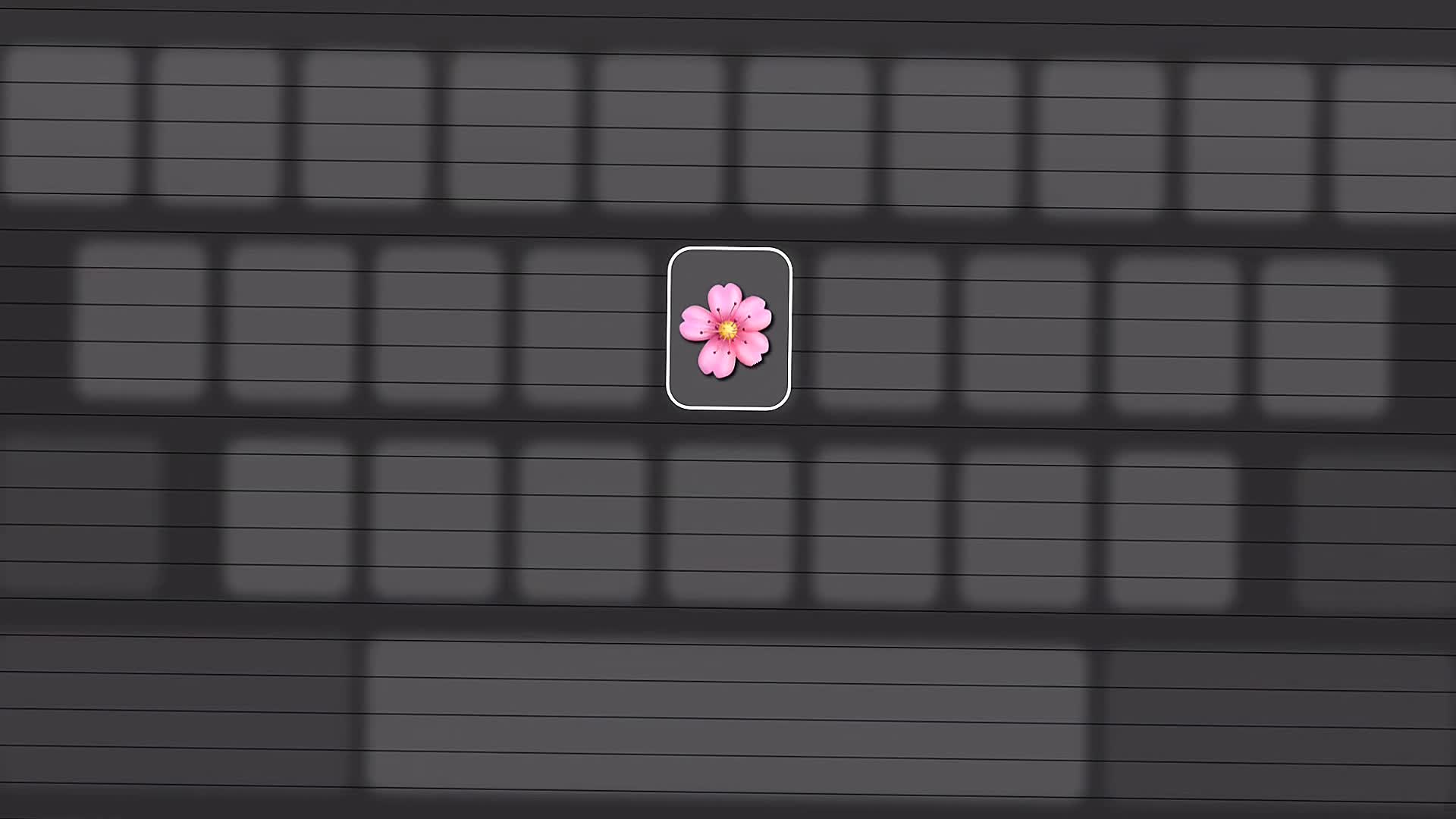 @๐๐๐๐๐๐ ๐ท
