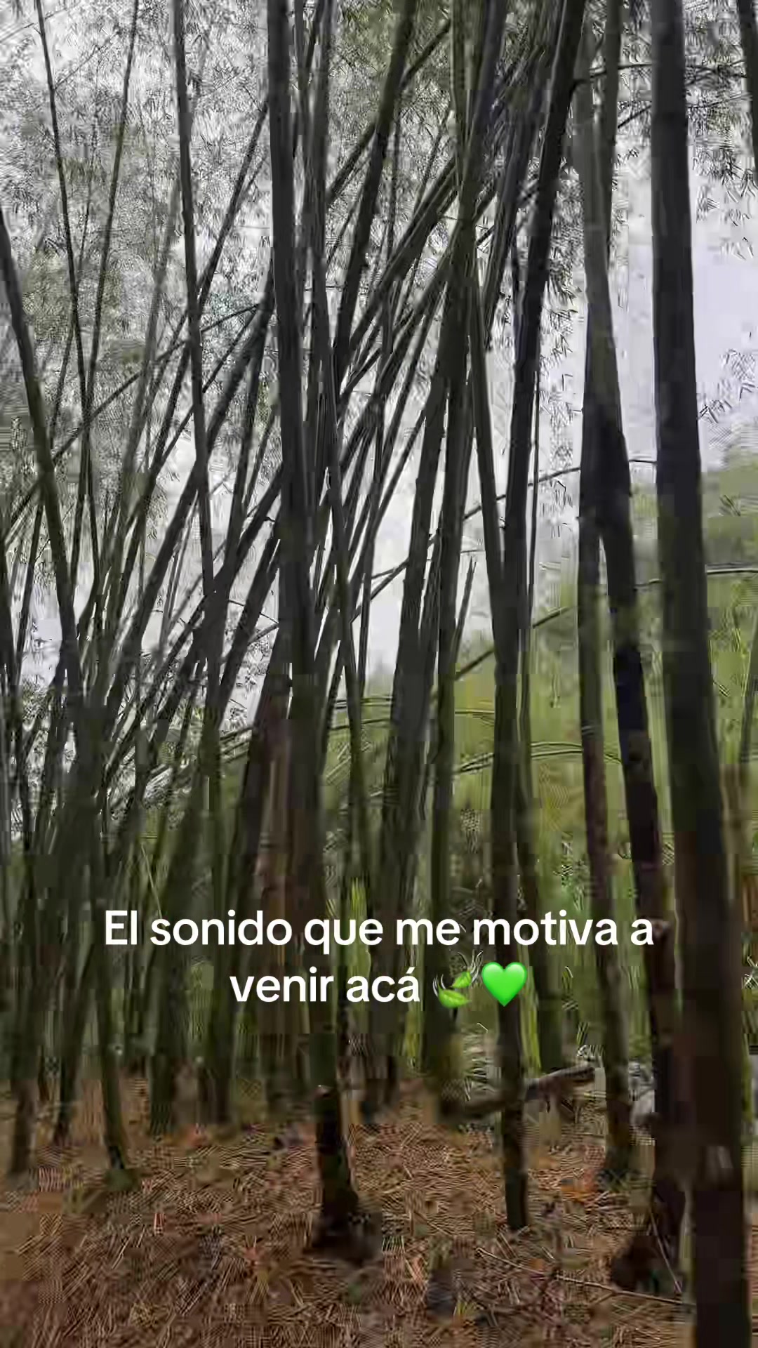 @Adri Gómez