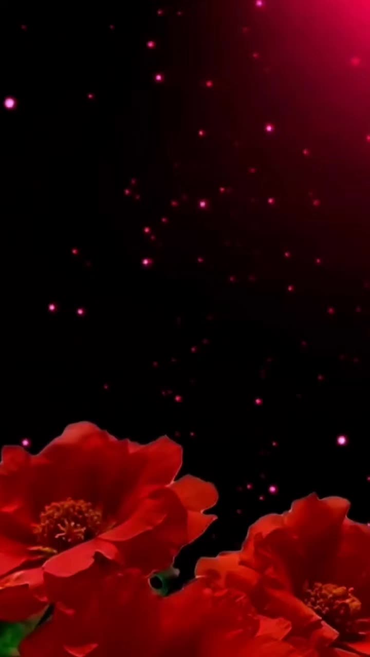 @❤️✌️