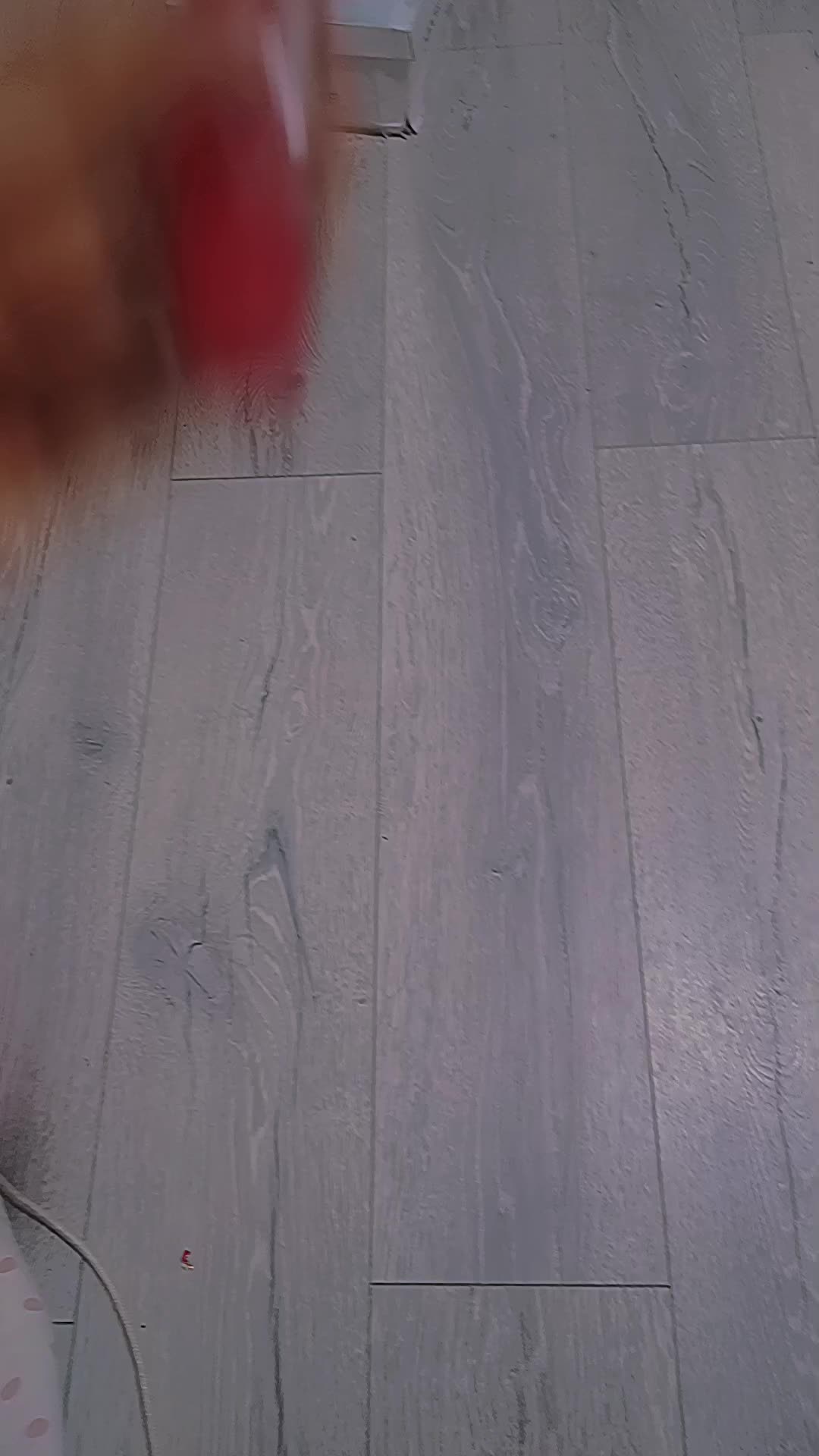 @🌺🦩