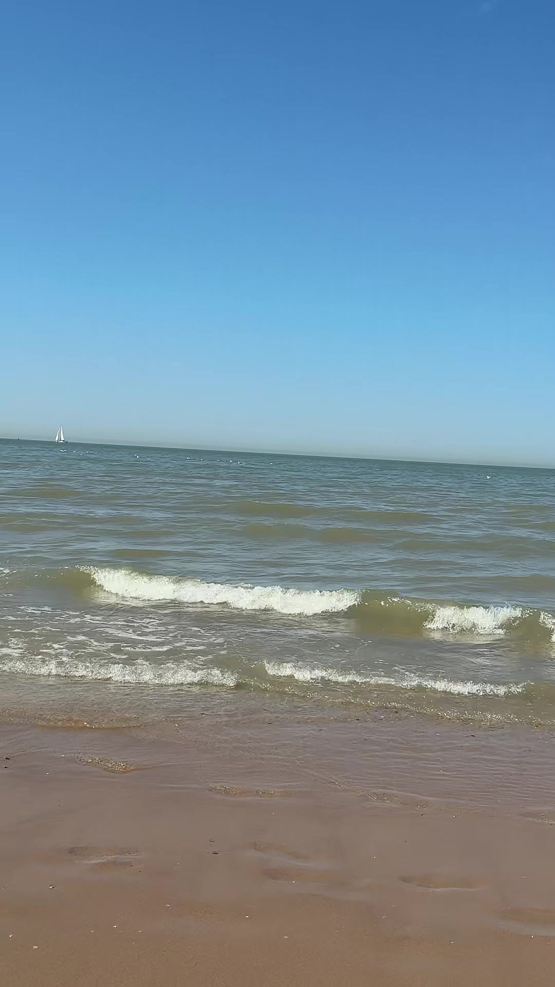 @asma.nature