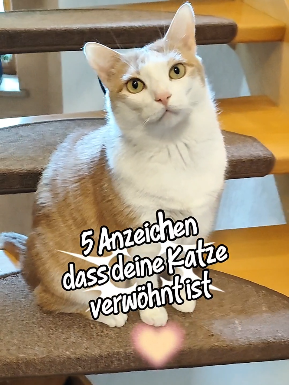 @😻нⷩeͤjdͩiͥneͤ😻