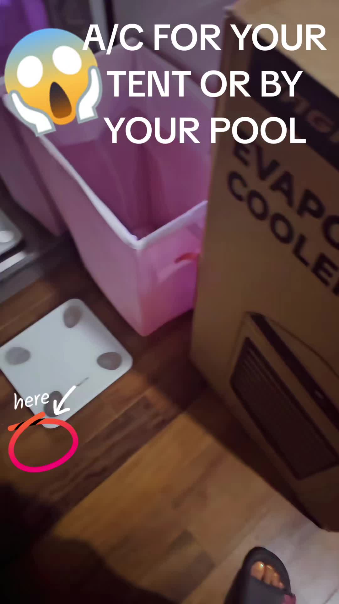 @Ladyd