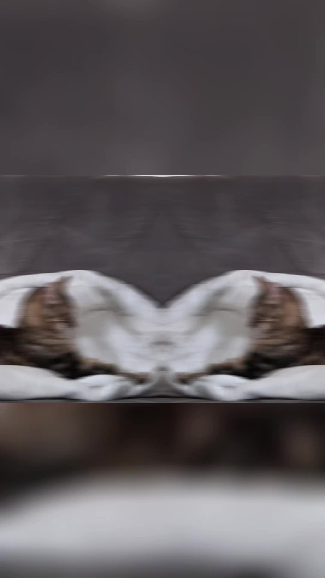@DJ88