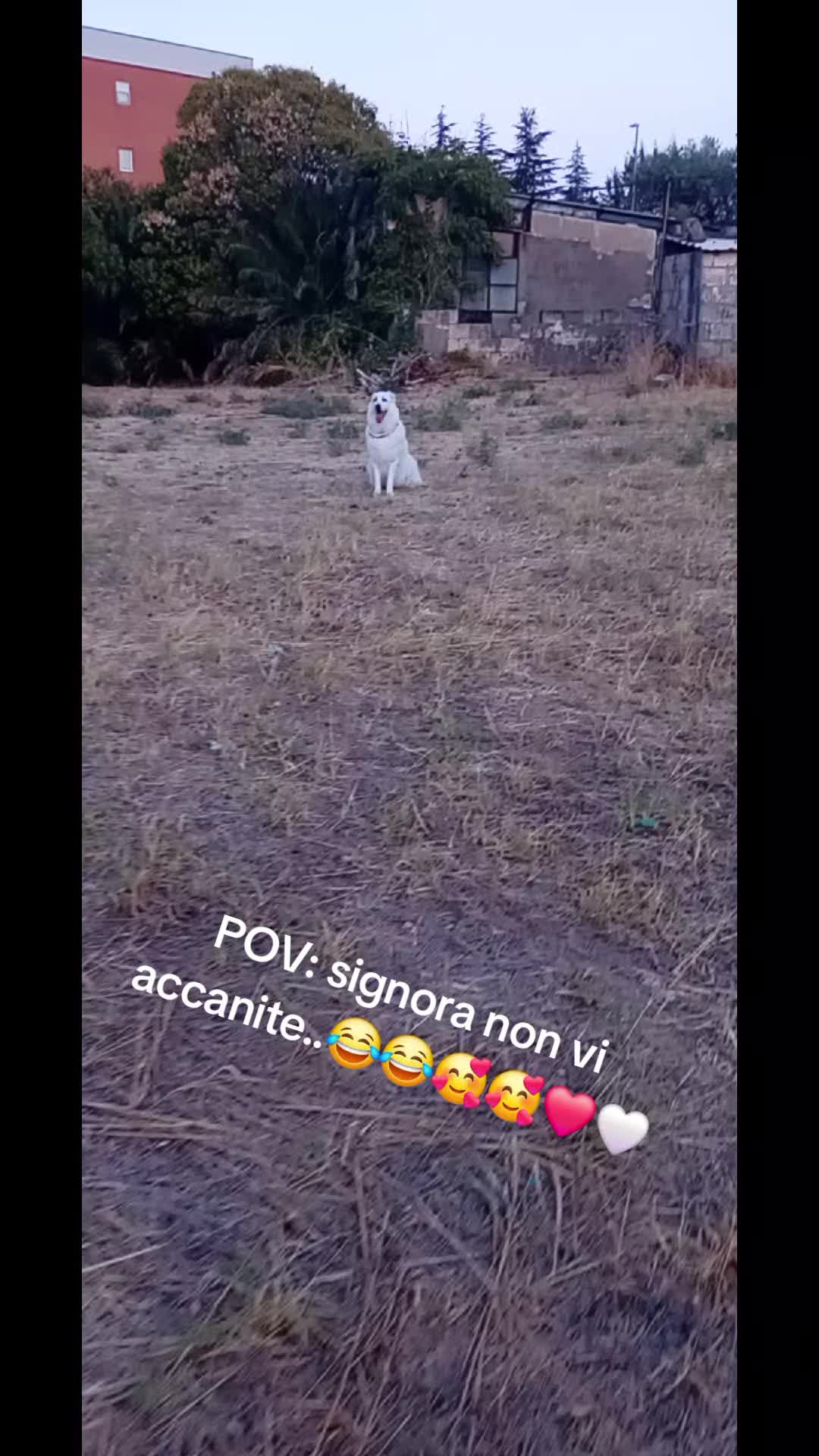 @bianca belpiede la maremmana