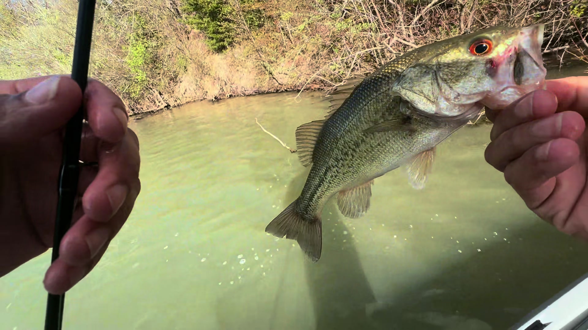 @BigBassFish