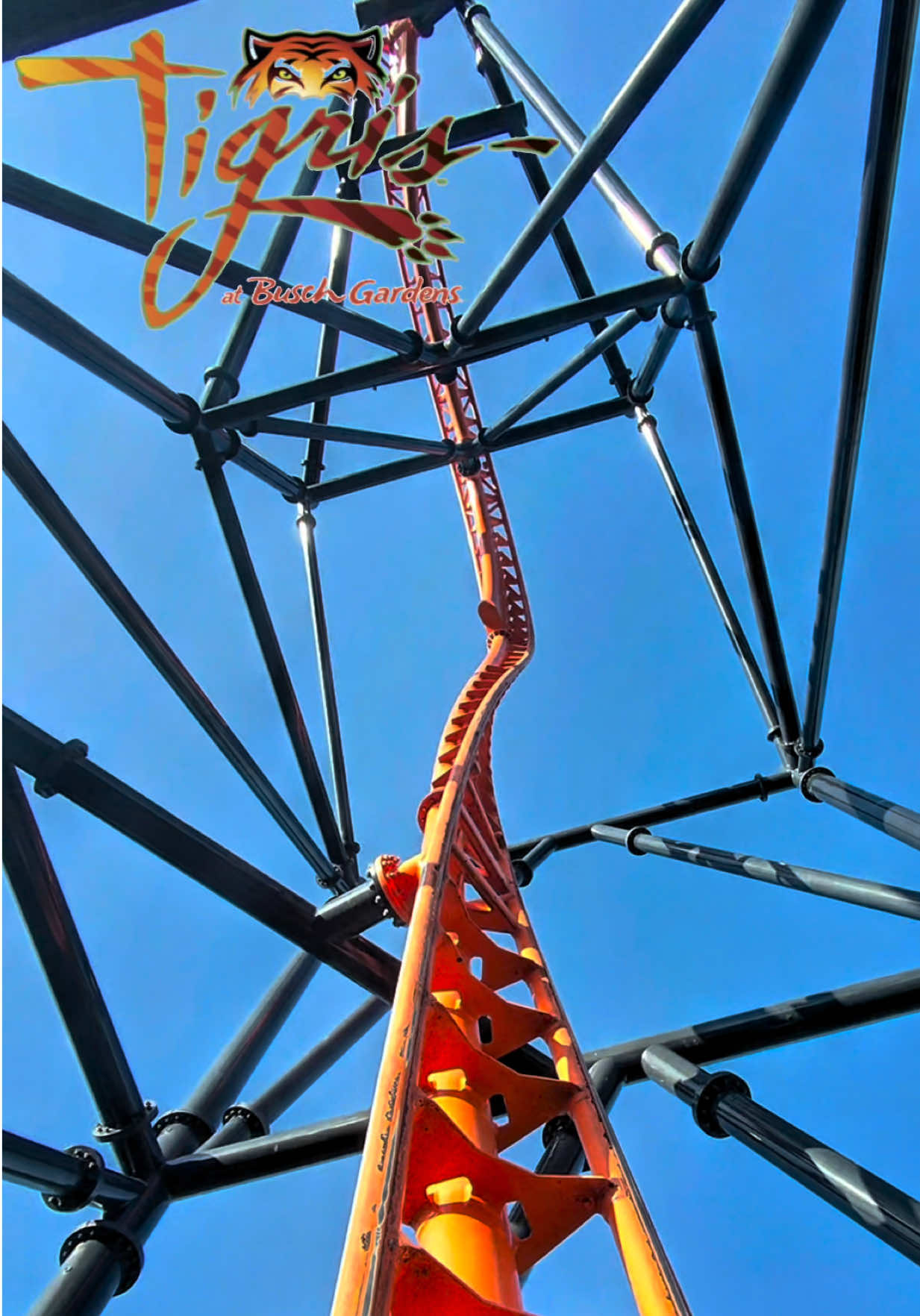 @TheCoaster_Cam