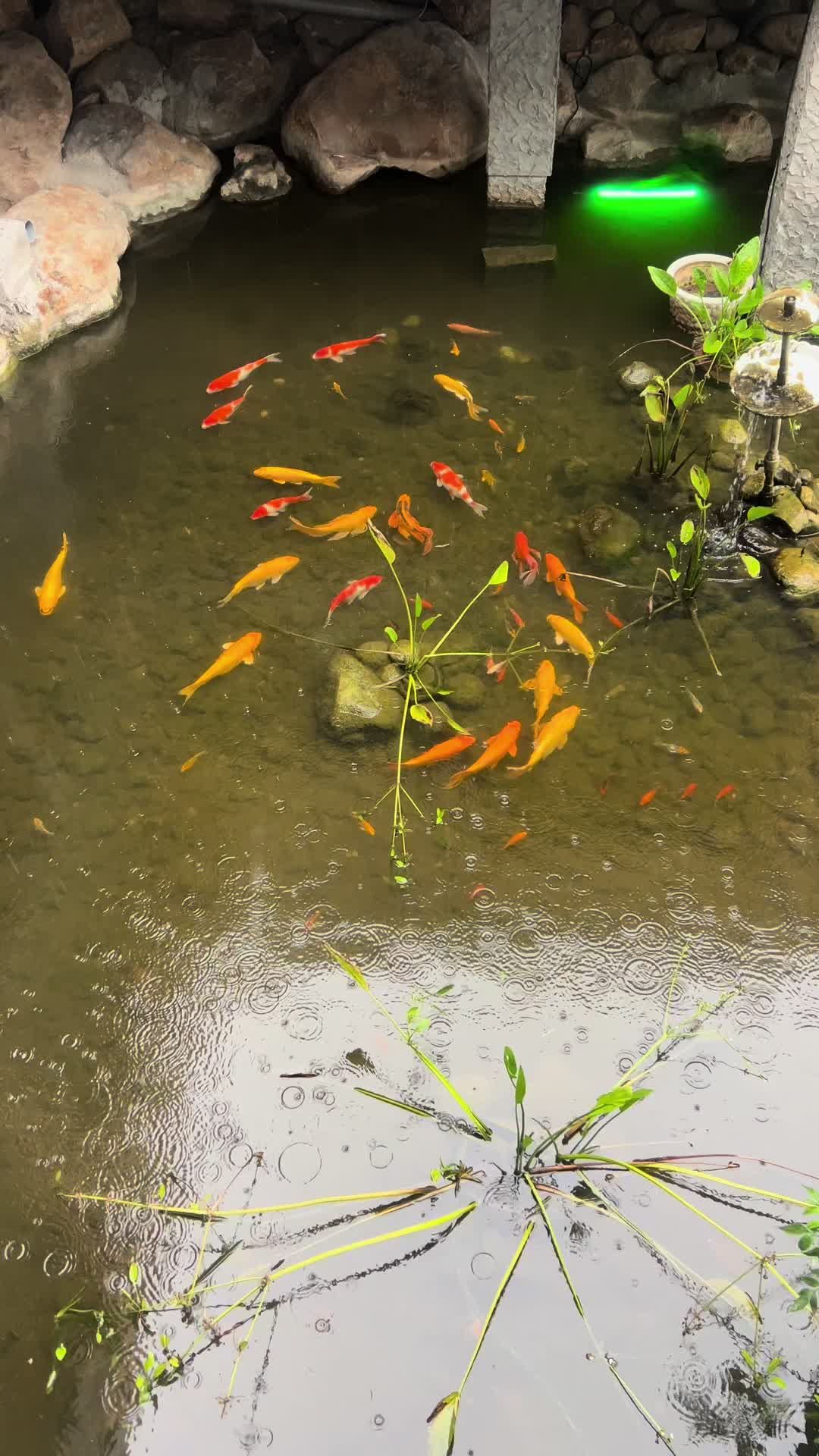 @Tài Nội Thất
