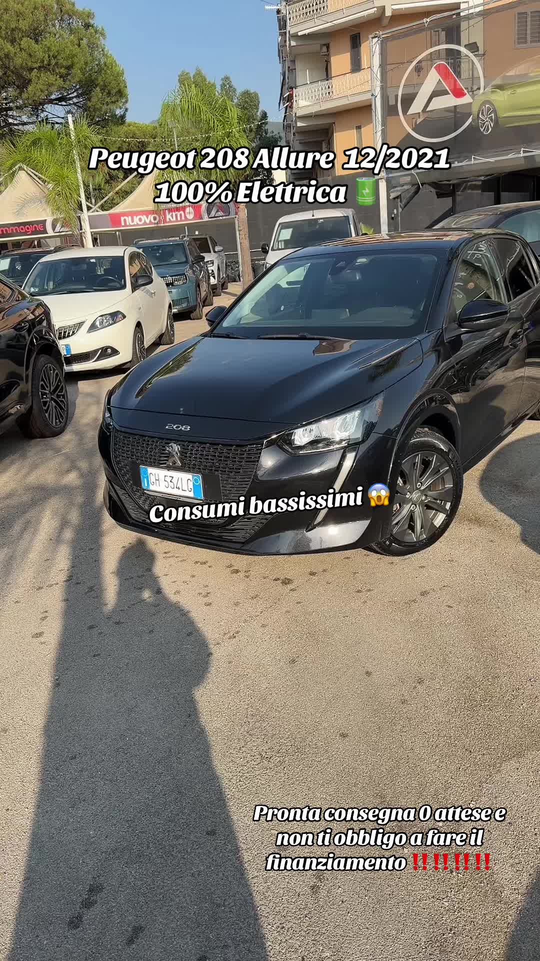 @AUTOIMMAGINE