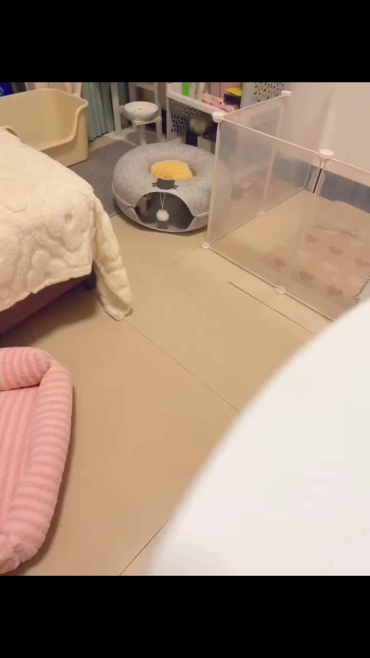 @fluffypet
