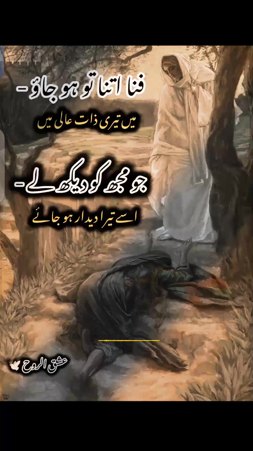 @💖گُلِ جنت💖