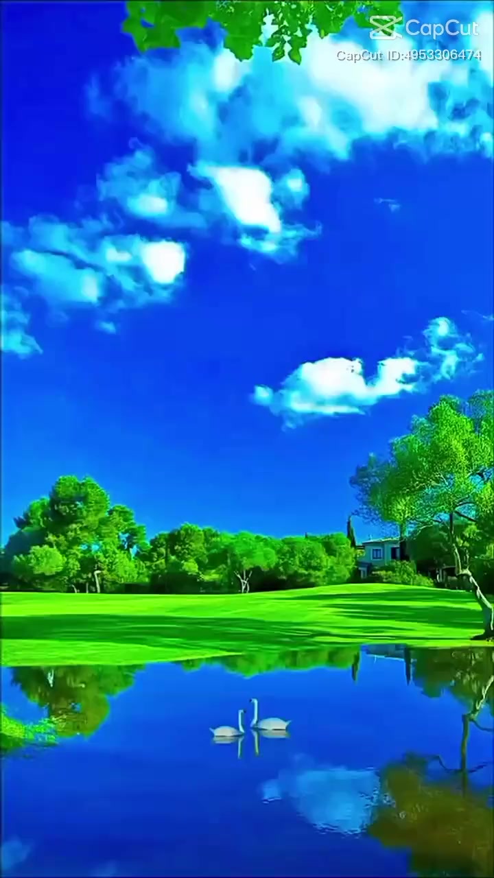 @Butterfly