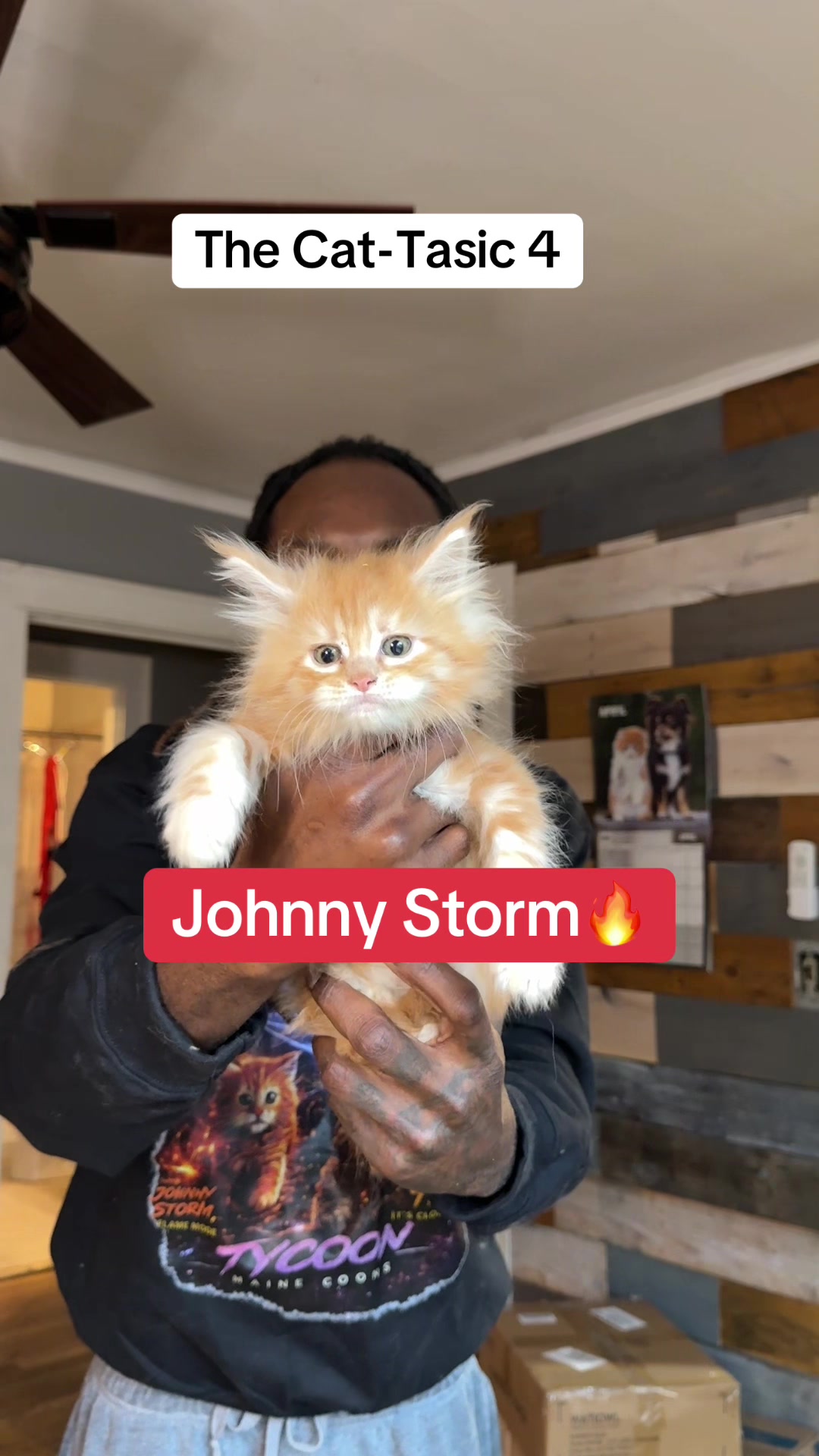 @Tycoon_Mainecoons