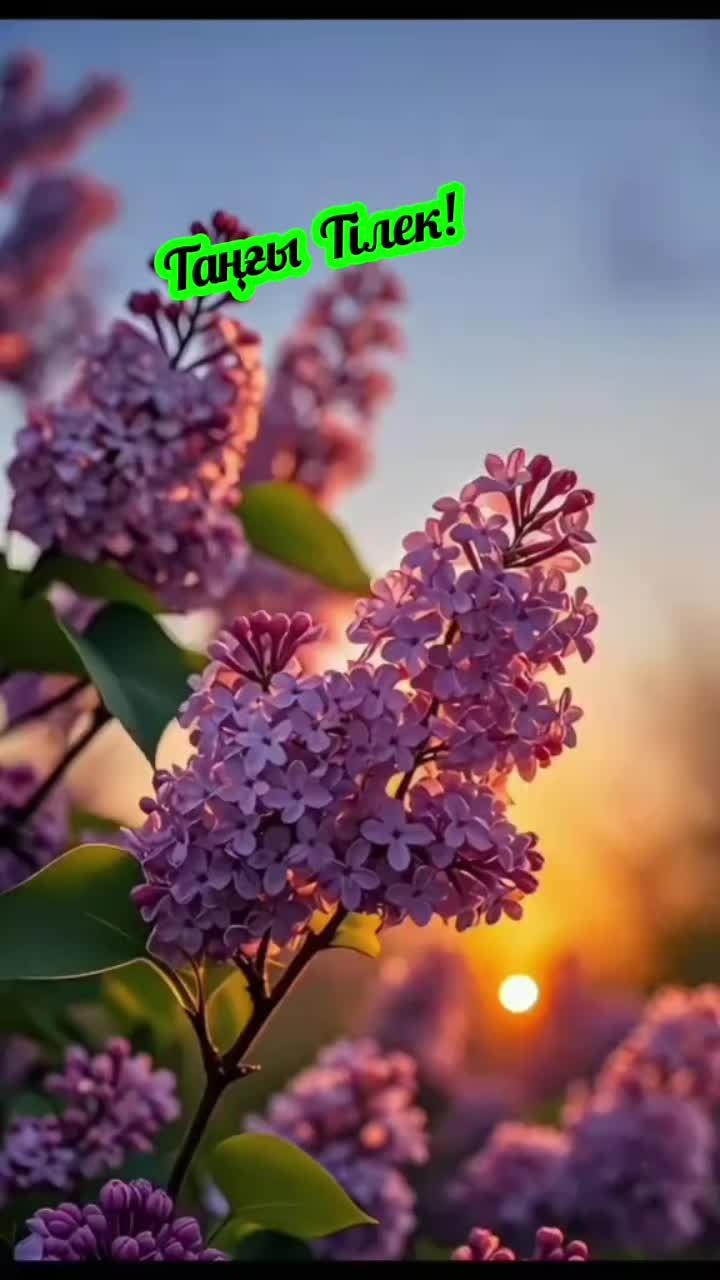 @Жанар Бегасилова