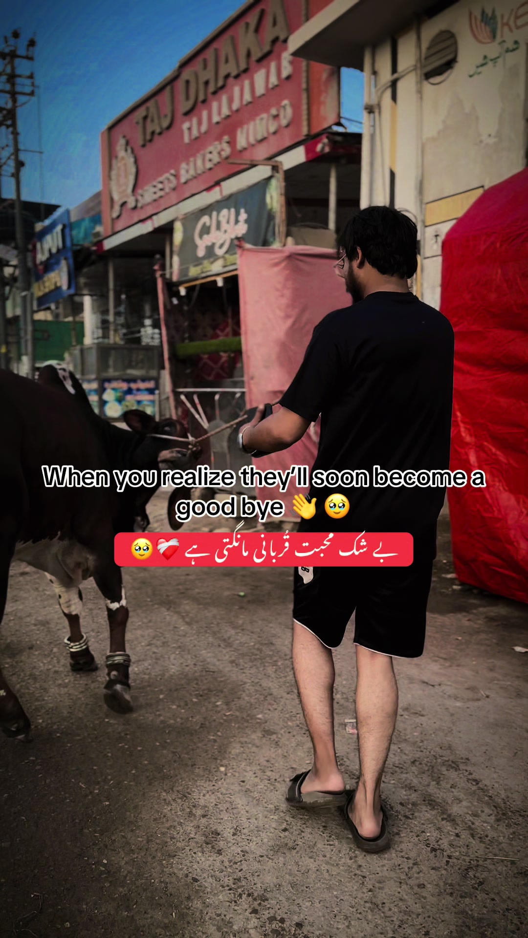 @Mr. Hassaن❤️😇