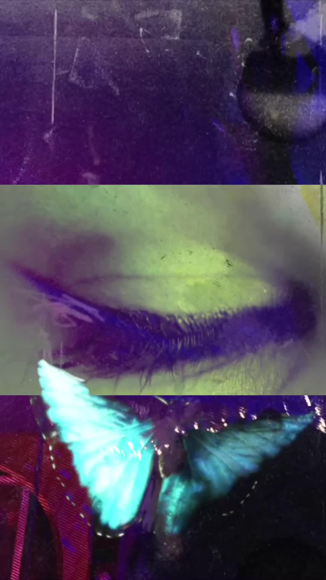 @staytangy