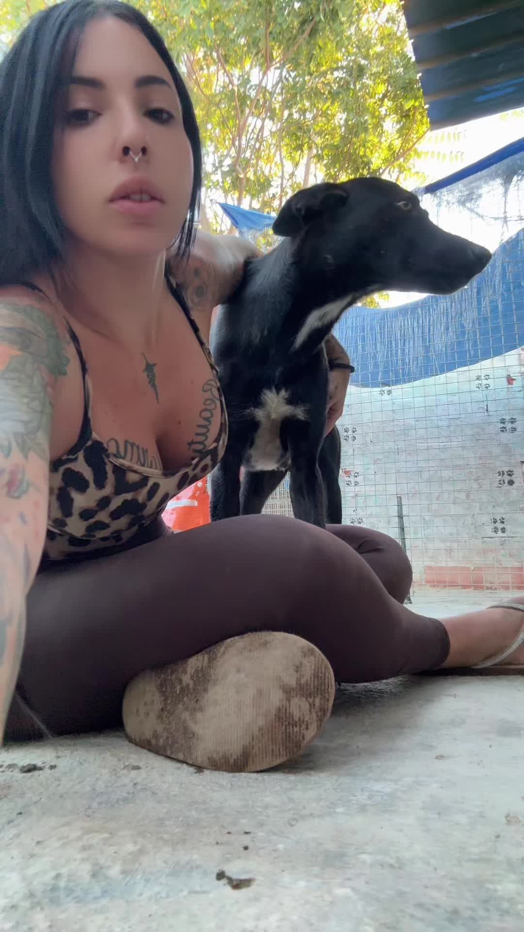 @refugiogranada39