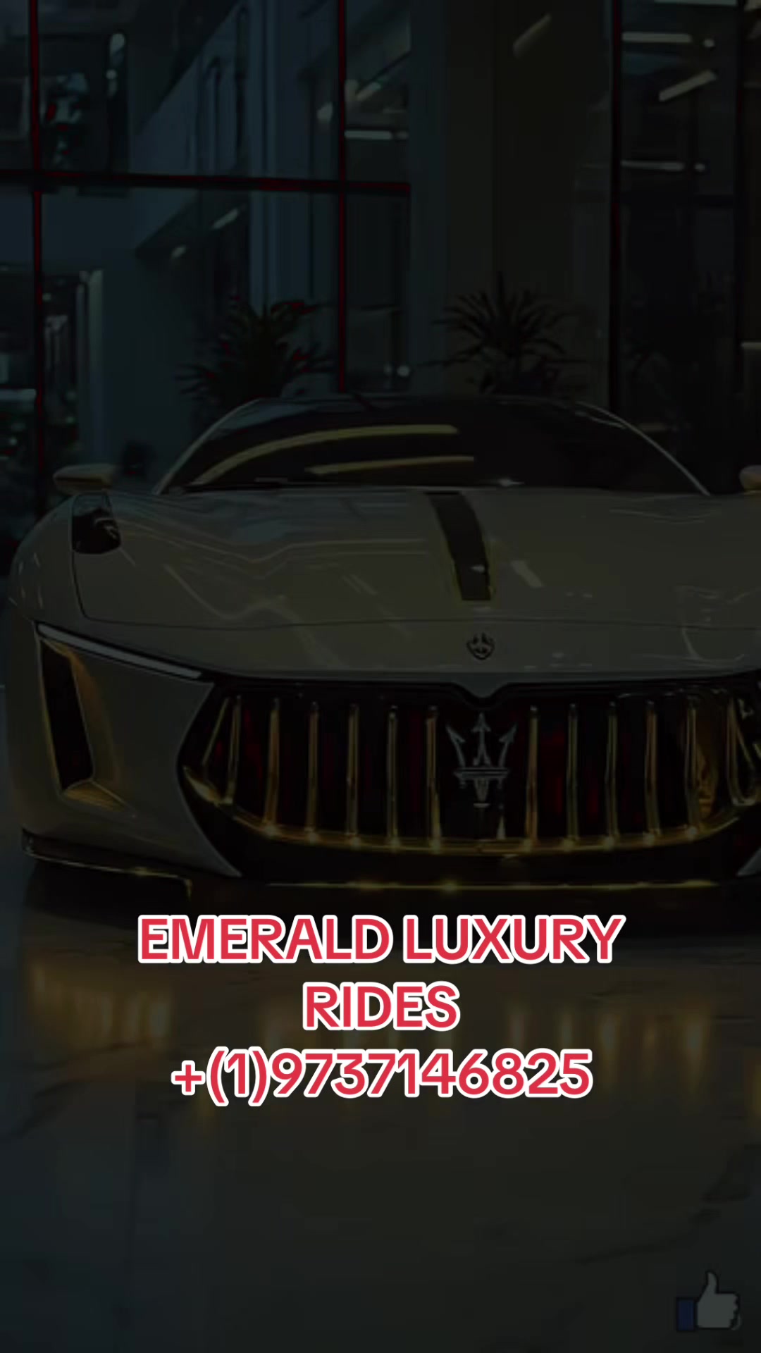@Emerald Luxury Rides