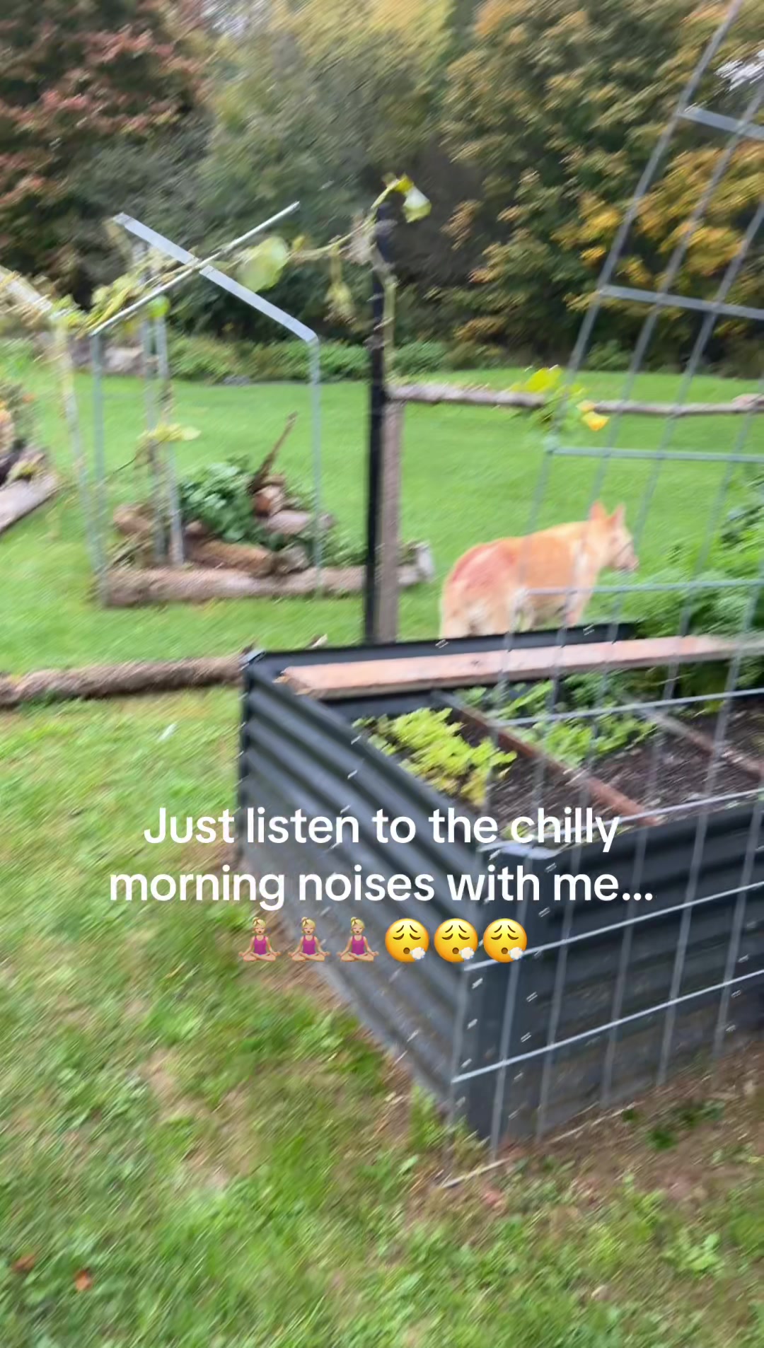 @ThatWitchyChickenMama/Catlady