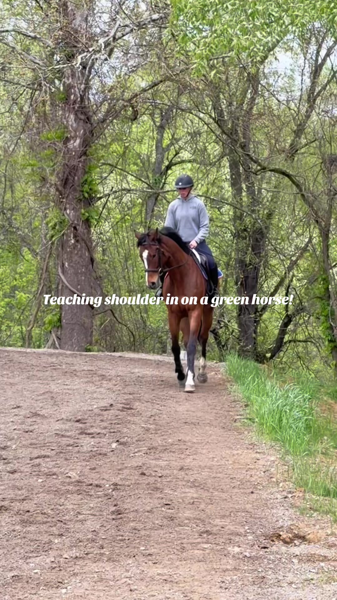 @Lunar Hill Equestrian