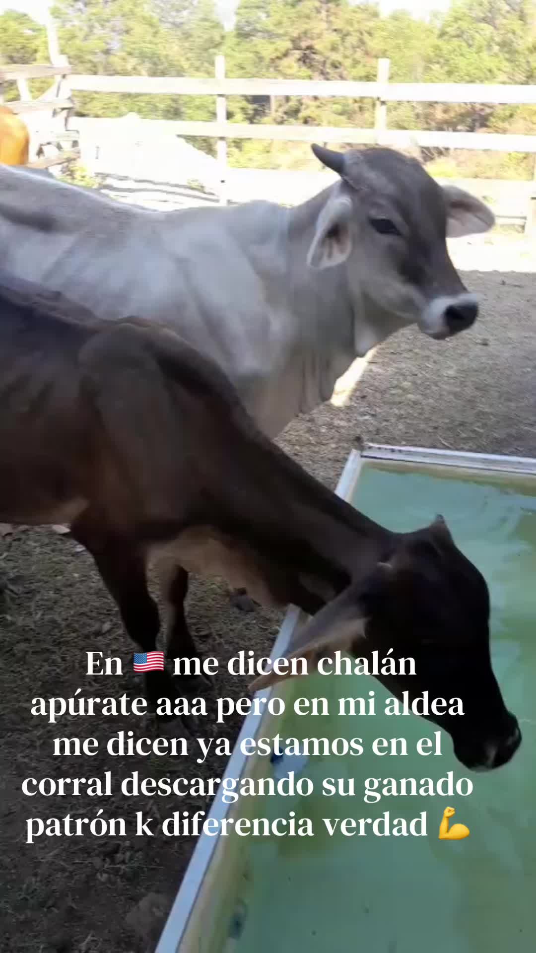 @Samir Buezo