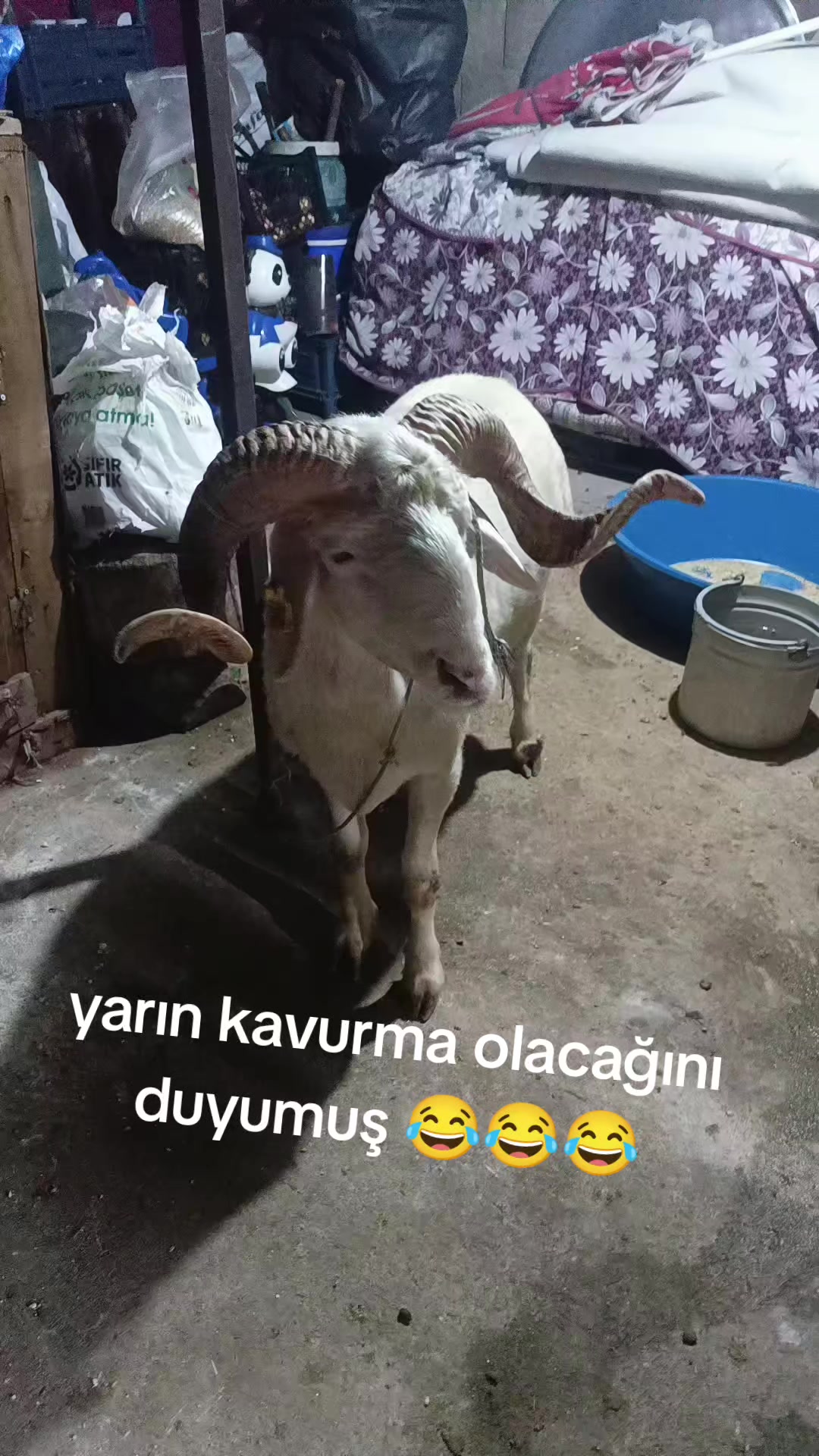 @azerci_ismail