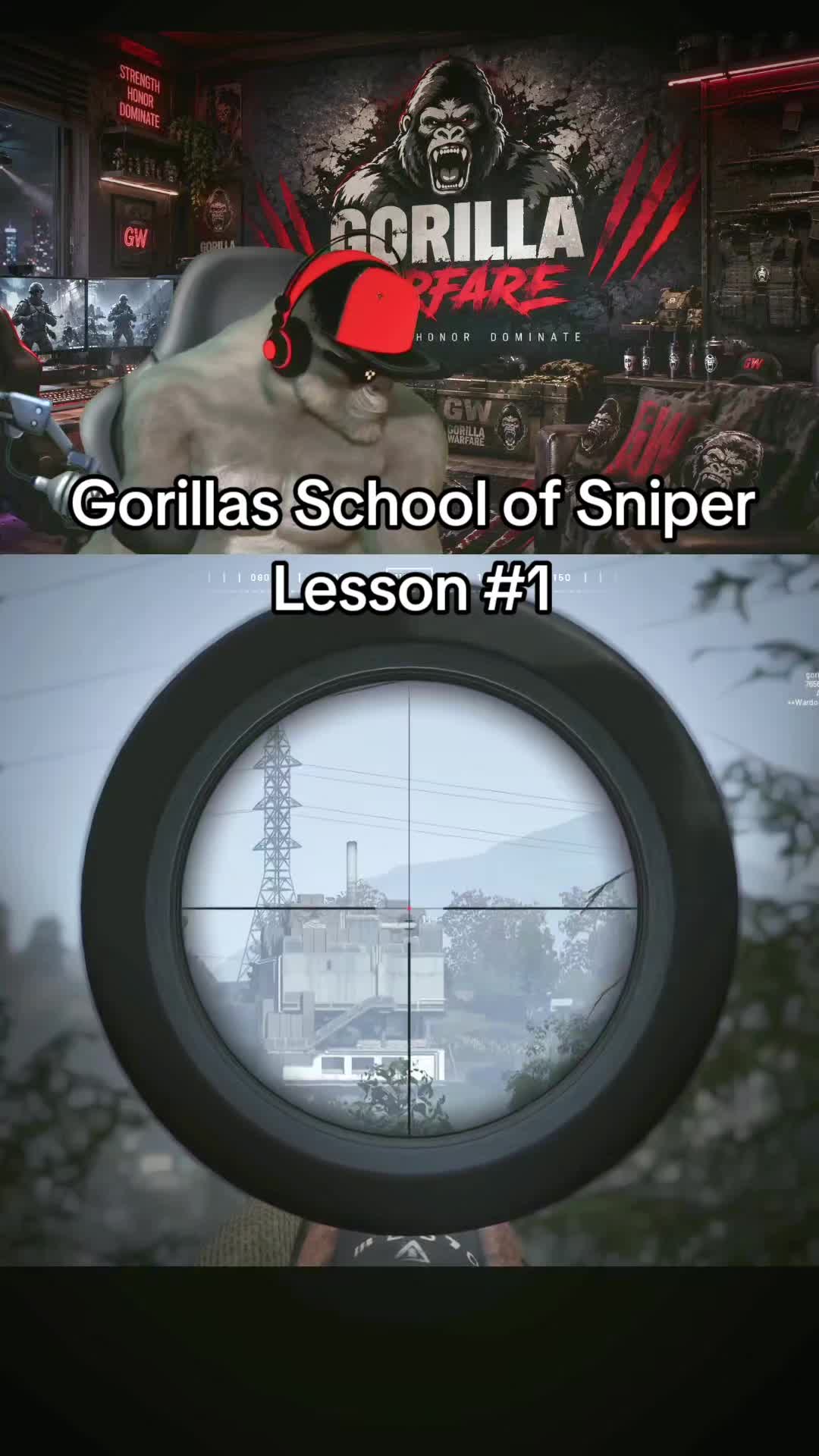 @Gorilla Warfare
