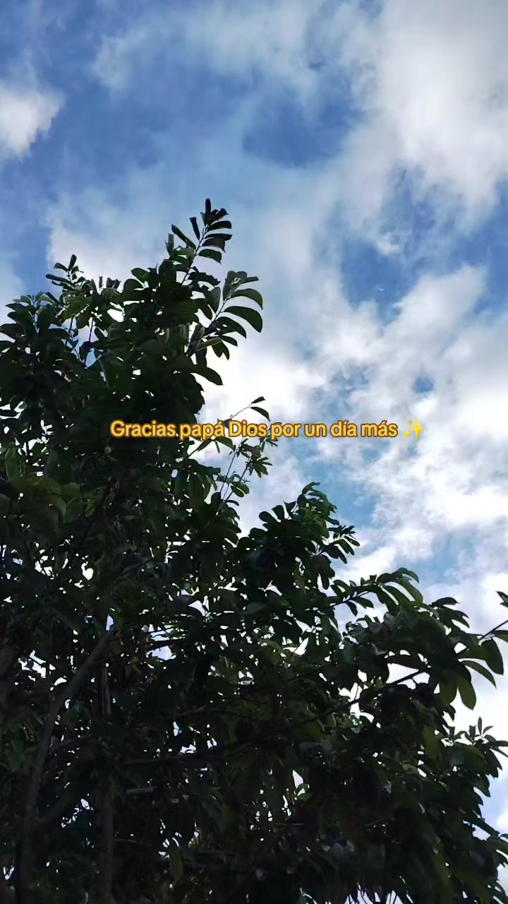 @zulueta