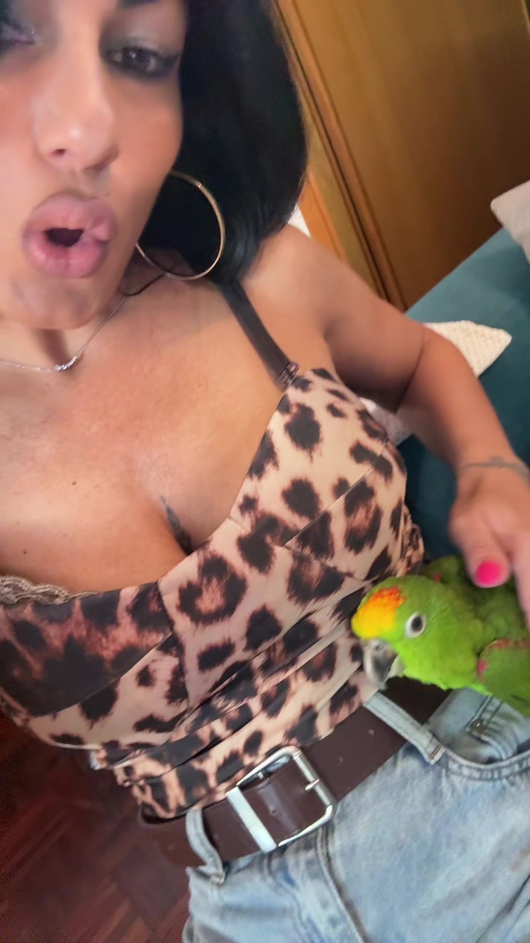 @_Dina_Cardone_