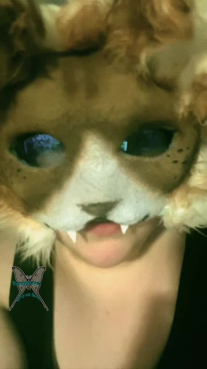 @Solar’paw
