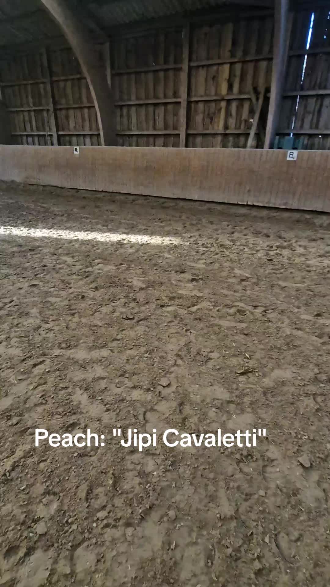 @Katinka, Peach 🐴 und Toffee🐶