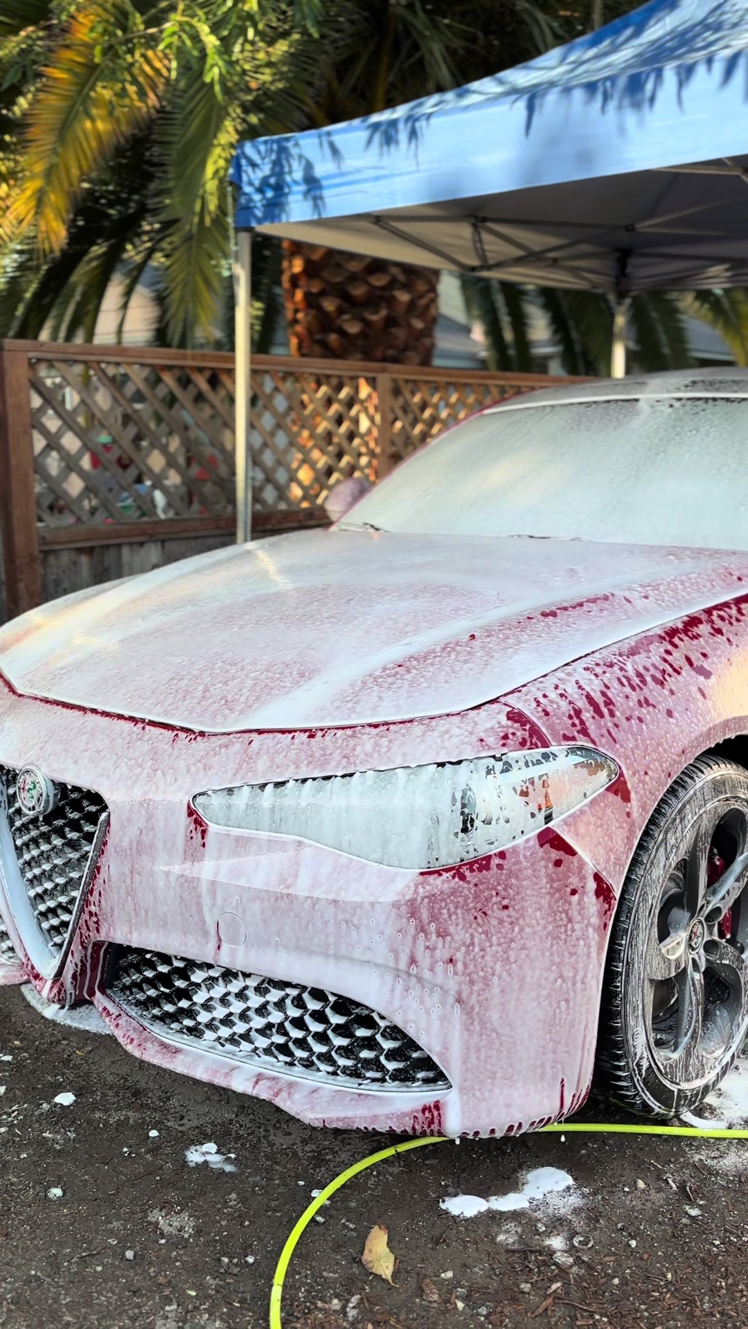 @_nextlevelautodetailing