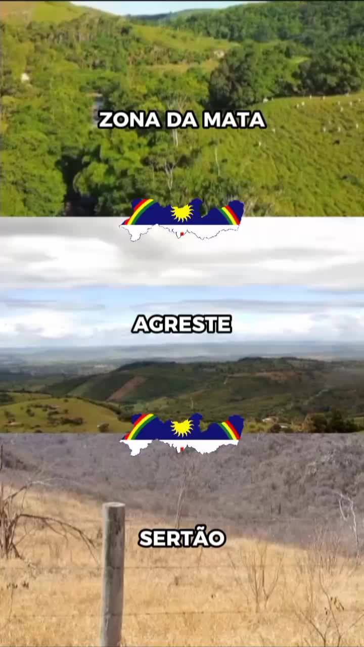 @colosso.pe